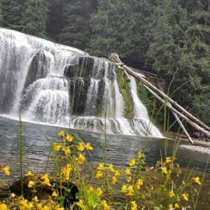 Meet your Posher, Angel